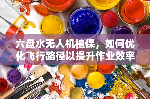 六盘水无人机植保，如何优化飞行路径以提升作业效率？