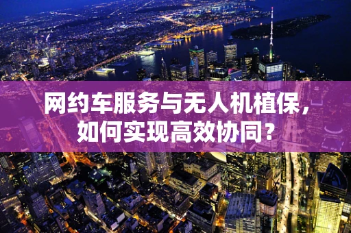 网约车服务与无人机植保，如何实现高效协同？