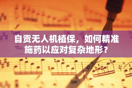 自贡无人机植保，如何精准施药以应对复杂地形？