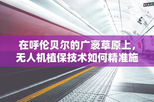 在呼伦贝尔的广袤草原上，无人机植保技术如何精准施策？