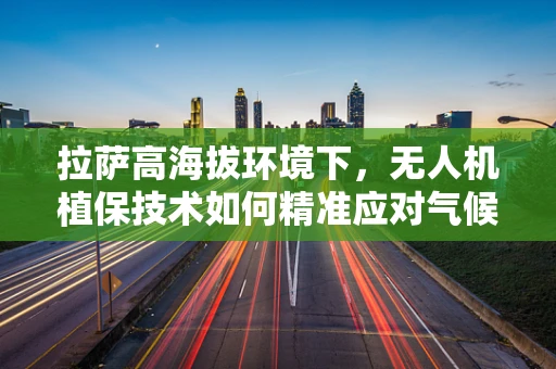 拉萨高海拔环境下，无人机植保技术如何精准应对气候挑战？