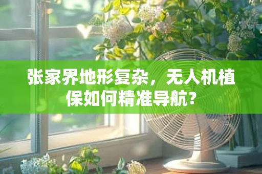 张家界地形复杂，无人机植保如何精准导航？