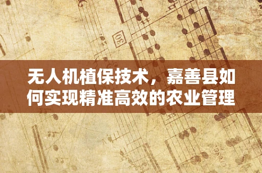 无人机植保技术，嘉善县如何实现精准高效的农业管理？