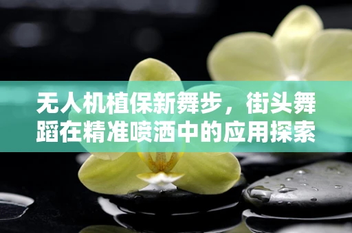 无人机植保新舞步，街头舞蹈在精准喷洒中的应用探索？