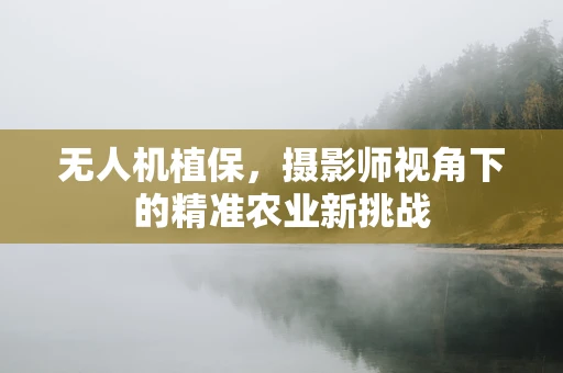 无人机植保，摄影师视角下的精准农业新挑战