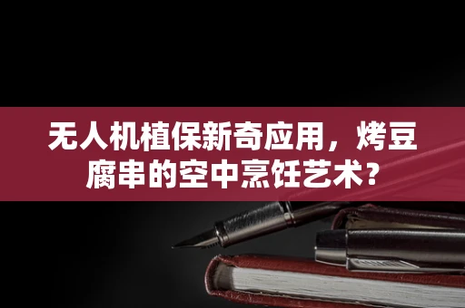 无人机植保新奇应用，烤豆腐串的空中烹饪艺术？
