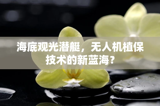 海底观光潜艇，无人机植保技术的新蓝海？
