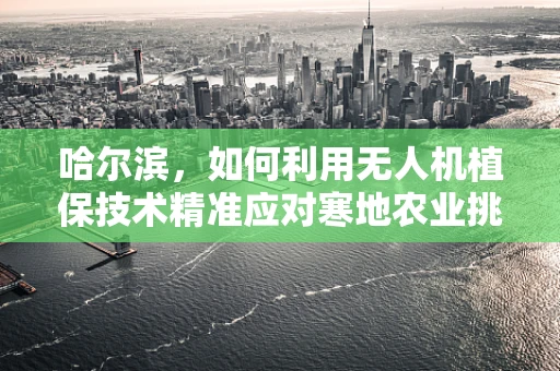 哈尔滨，如何利用无人机植保技术精准应对寒地农业挑战？