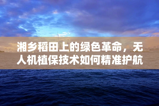湘乡稻田上的绿色革命，无人机植保技术如何精准护航？