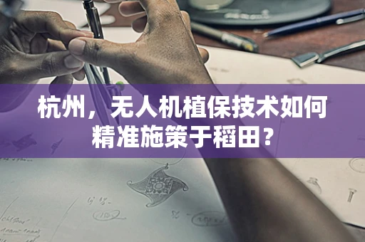 杭州，无人机植保技术如何精准施策于稻田？