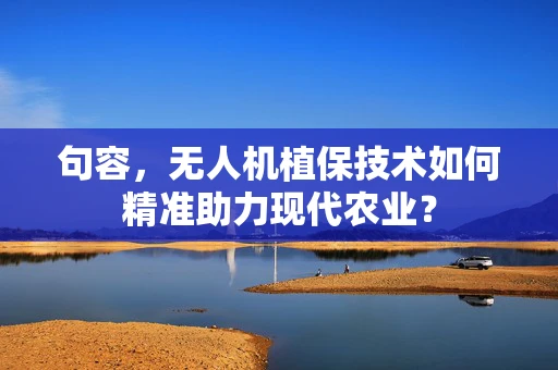 句容，无人机植保技术如何精准助力现代农业？