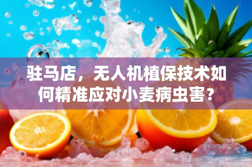 驻马店，无人机植保技术如何精准应对小麦病虫害？