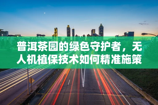 普洱茶园的绿色守护者，无人机植保技术如何精准施策？