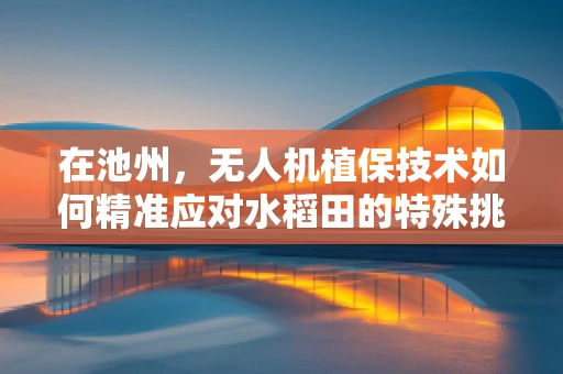 在池州，无人机植保技术如何精准应对水稻田的特殊挑战？