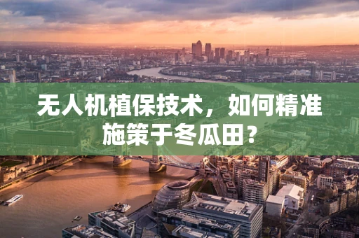 无人机植保技术，如何精准施策于冬瓜田？