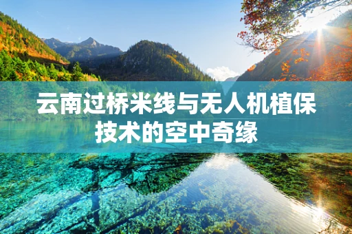 云南过桥米线与无人机植保技术的空中奇缘