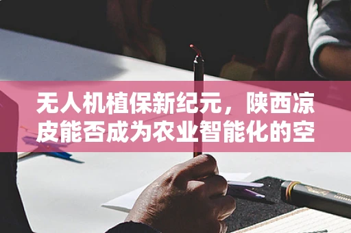 无人机植保新纪元，陕西凉皮能否成为农业智能化的空中使者？