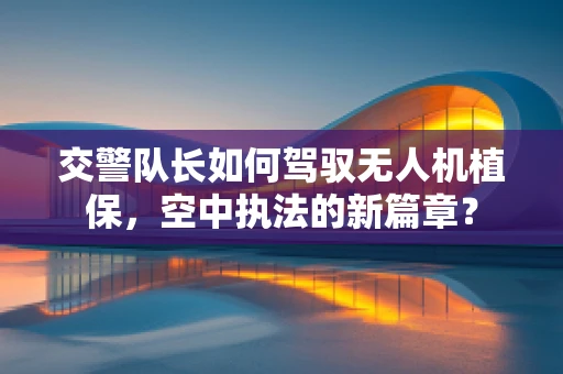 交警队长如何驾驭无人机植保，空中执法的新篇章？