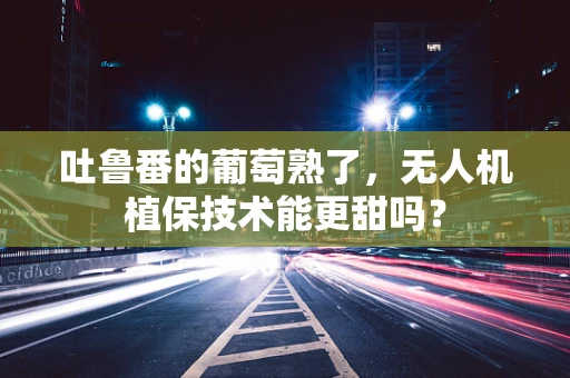 吐鲁番的葡萄熟了，无人机植保技术能更甜吗？