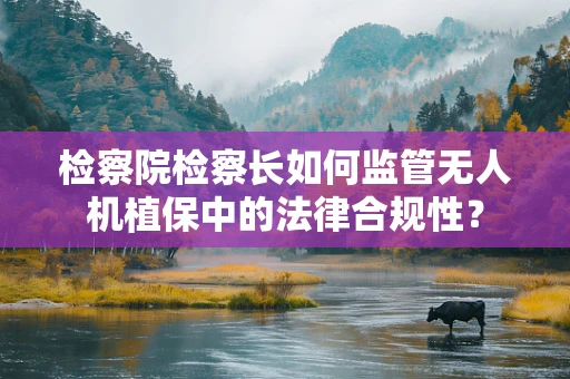 检察院检察长如何监管无人机植保中的法律合规性？