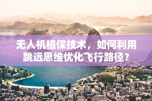 无人机植保技术，如何利用跳远思维优化飞行路径？