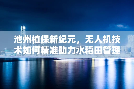 池州植保新纪元，无人机技术如何精准助力水稻田管理？
