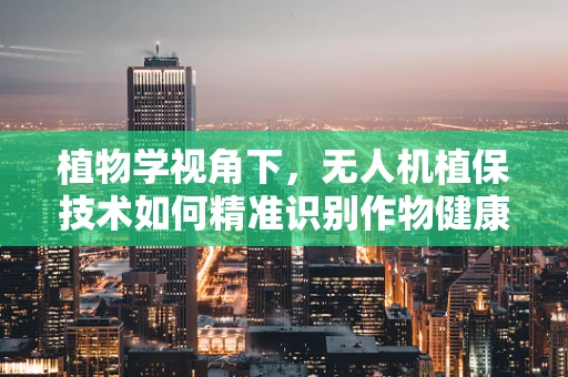 植物学视角下，无人机植保技术如何精准识别作物健康状况？