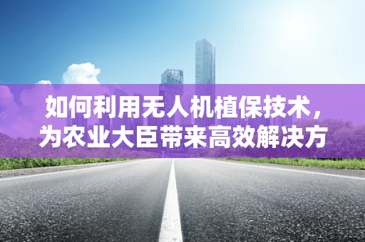 如何利用无人机植保技术，为农业大臣带来高效解决方案？