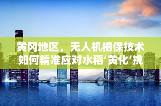 黄冈地区，无人机植保技术如何精准应对水稻‘黄化’挑战？