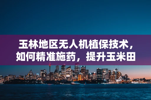玉林地区无人机植保技术，如何精准施药，提升玉米田管理效率？