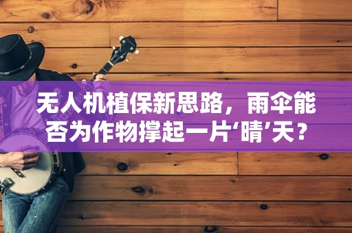 无人机植保新思路，雨伞能否为作物撑起一片‘晴’天？