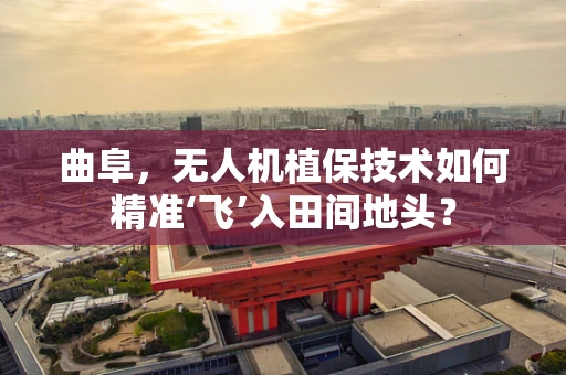 曲阜，无人机植保技术如何精准‘飞’入田间地头？