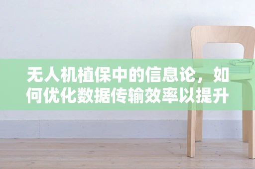 无人机植保中的信息论，如何优化数据传输效率以提升作业精度？