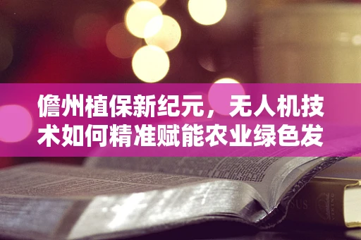 儋州植保新纪元，无人机技术如何精准赋能农业绿色发展？