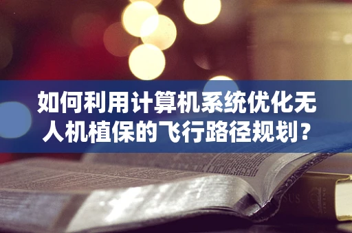 如何利用计算机系统优化无人机植保的飞行路径规划？
