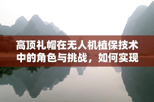 高顶礼帽在无人机植保技术中的角色与挑战，如何实现精准施药而不伤及作物？