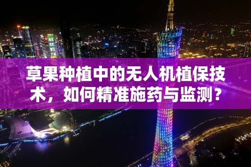 草果种植中的无人机植保技术，如何精准施药与监测？