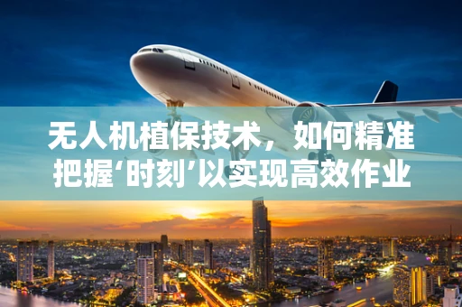 无人机植保技术，如何精准把握‘时刻’以实现高效作业？