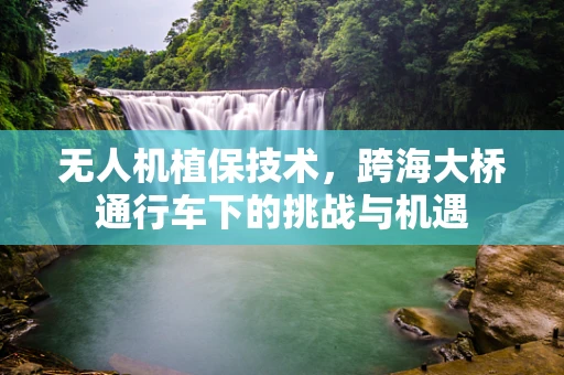无人机植保技术，跨海大桥通行车下的挑战与机遇
