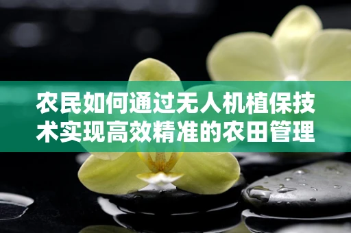 农民如何通过无人机植保技术实现高效精准的农田管理？