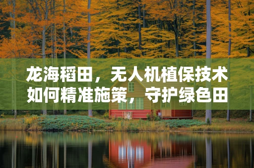 龙海稻田，无人机植保技术如何精准施策，守护绿色田野？