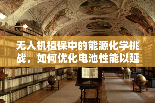 无人机植保中的能源化学挑战，如何优化电池性能以延长作业时间？