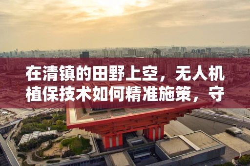 在清镇的田野上空，无人机植保技术如何精准施策，守护绿色家园？