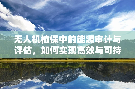 无人机植保中的能源审计与评估，如何实现高效与可持续？