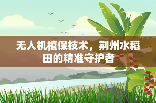 无人机植保技术，荆州水稻田的精准守护者