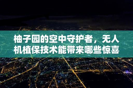 柚子园的空中守护者，无人机植保技术能带来哪些惊喜？