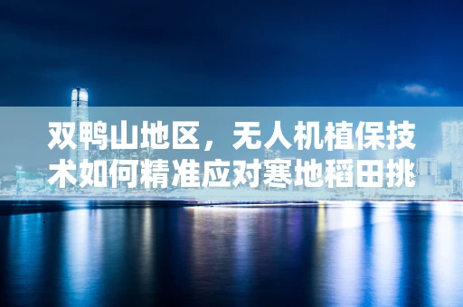 双鸭山地区，无人机植保技术如何精准应对寒地稻田挑战？