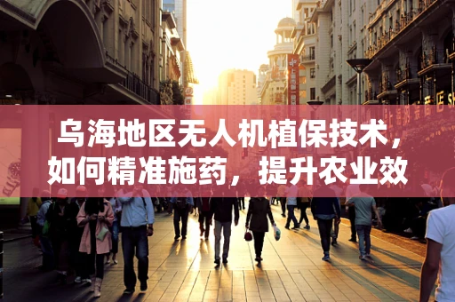 乌海地区无人机植保技术，如何精准施药，提升农业效率？