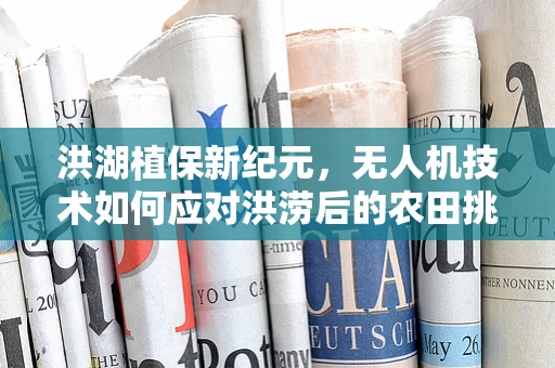 洪湖植保新纪元，无人机技术如何应对洪涝后的农田挑战？