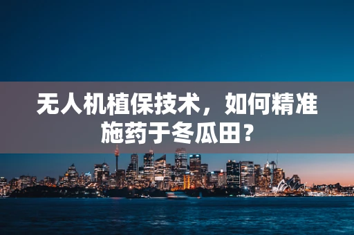 无人机植保技术，如何精准施药于冬瓜田？